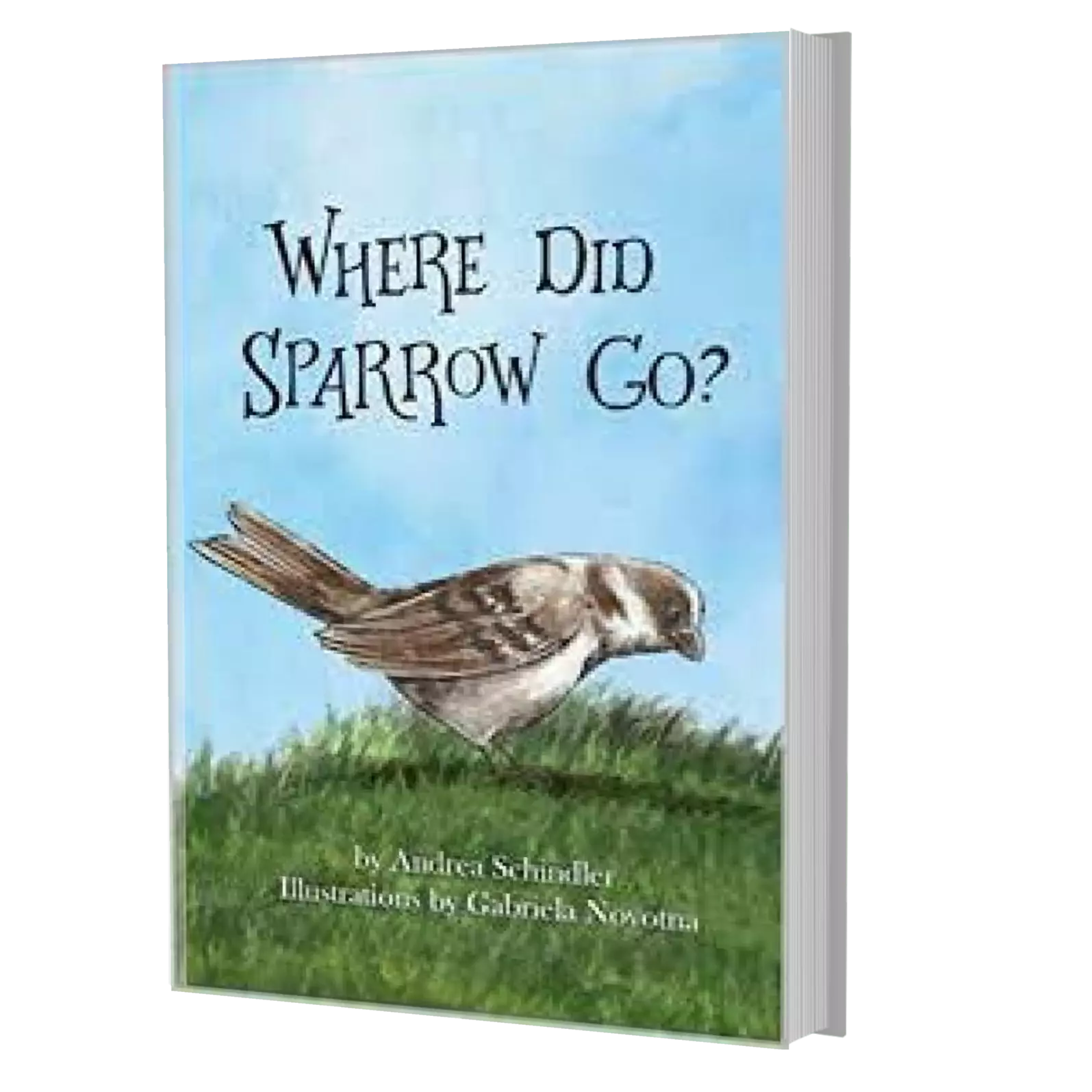 Where Did Sparrow Go